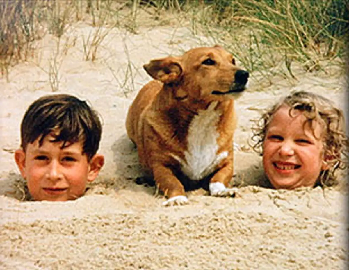 El homenaje a la reina Isabel II está compuesto por películas caseras y fotografías de la colección personal de la familia real.