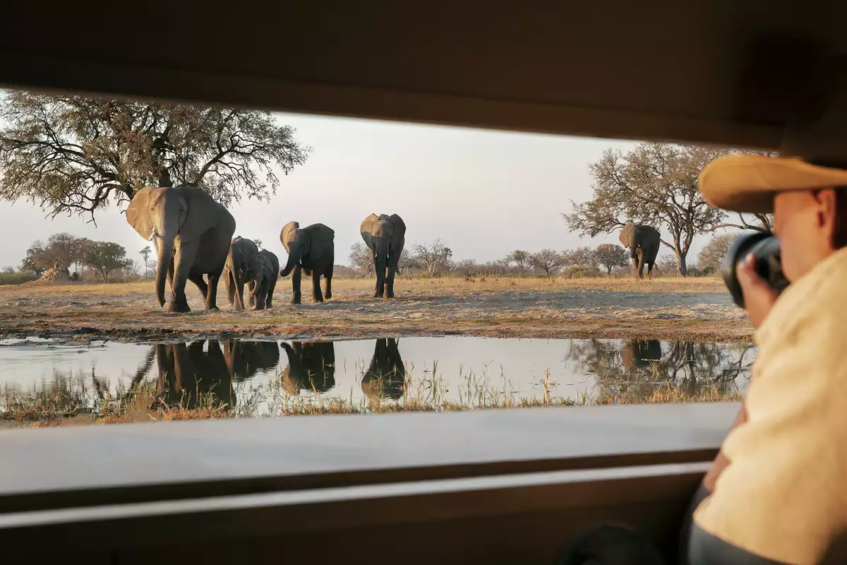 safari-de-lujo.jpg