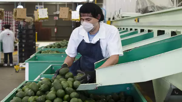 La producción que viene tendrá un impacto positivo en los precios al consumidor.