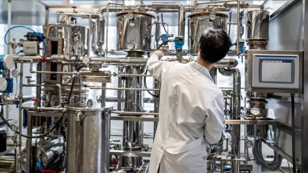 Back view of male student working at the process lab distilling liquids