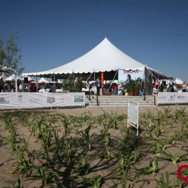 Aspectos  Festival de Sabor