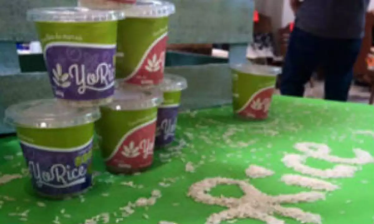 Yogur Yorice