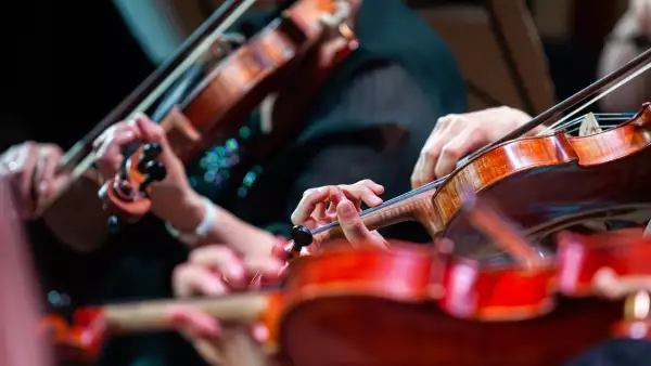 foto de músicos de orquesta tocando violines