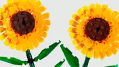 Lego se suma a la tendencia viral de regalar flores amarillas en septiembre