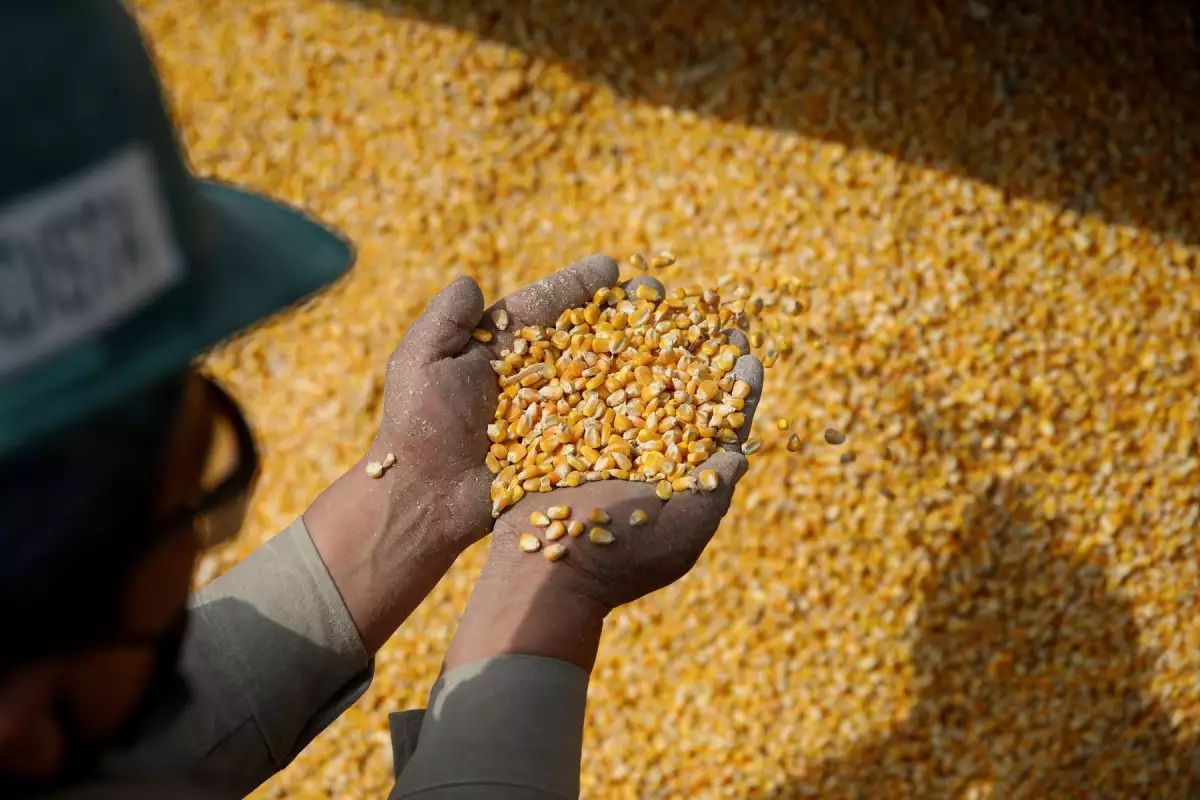 mexico-importa-maiz-eu-usda