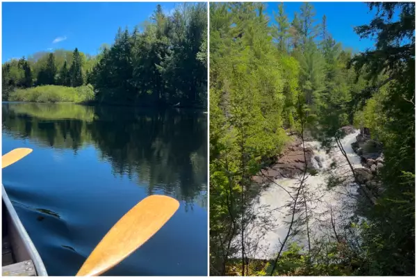 Remo en Algonquin Park