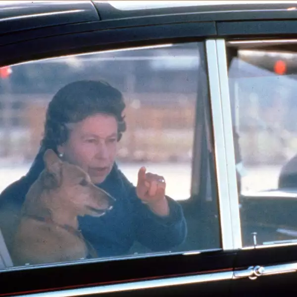 QUEEN ELIZABETH II  AND ONE OF HER CORGIS, HEATHROW AIRPORT, LONDON, BRITAIN - OCT 1986