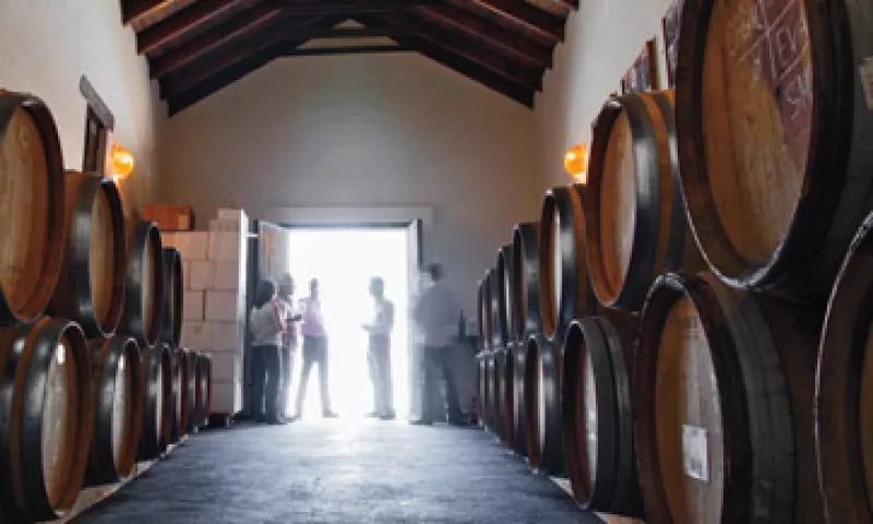 Empresarios y ejecutivos aprenden el proceso de producción de vino, desde recoger fruta hasta seleccionar botellas y la etiqueta. (Foto: Ramón Sánchez Belmont)