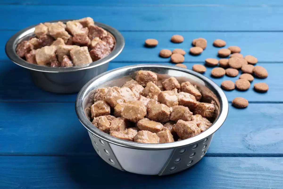 Alimento húmedo para gatos y perros - DoPets