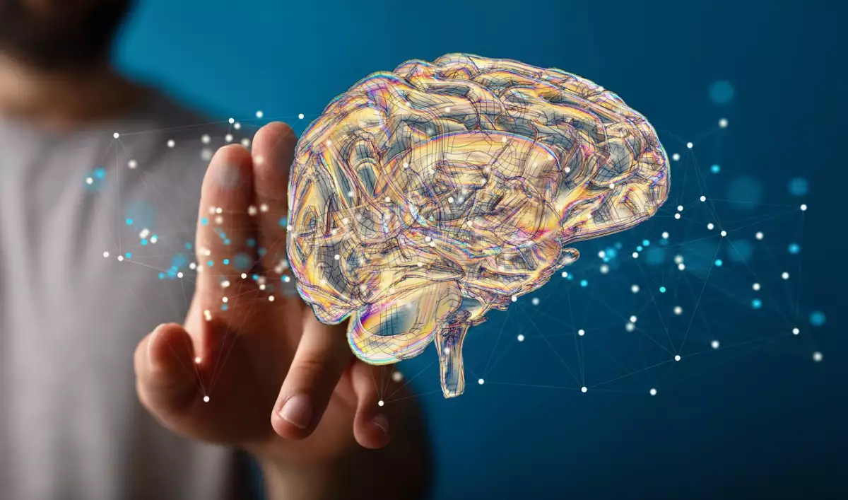 Brújula Cerebral