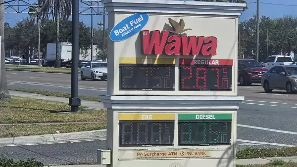 ¿Qué beneficios ven los países que lo usan?
