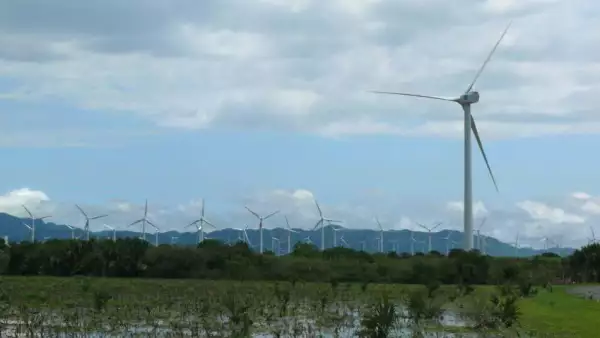 Proyecto E�lico Piedra Larga