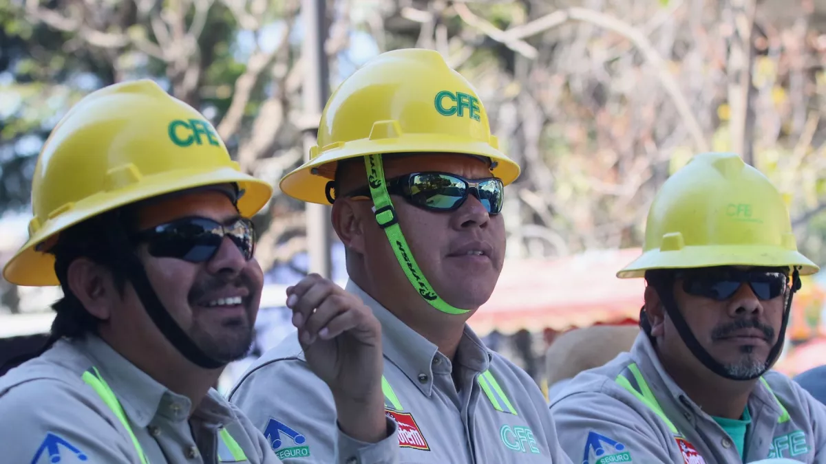 Las claves detrás de los resultados financieros positivos de la CFE