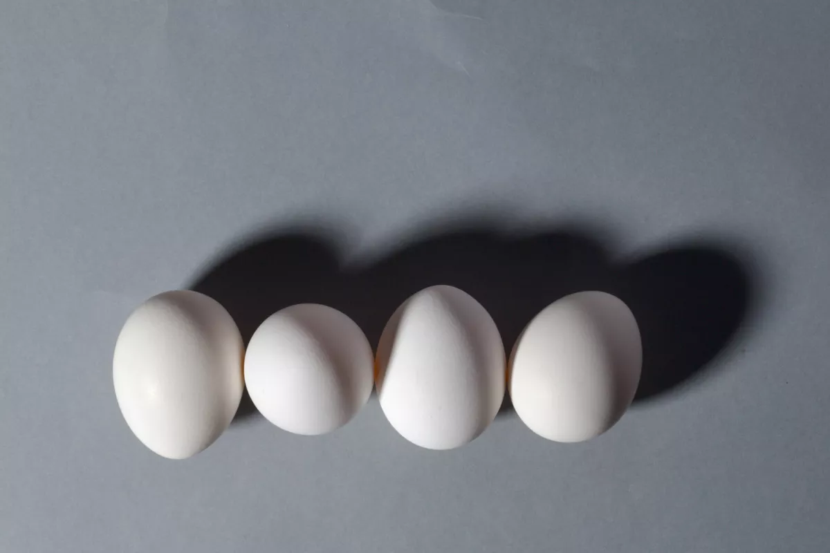 bachoco-incendio-apodaca