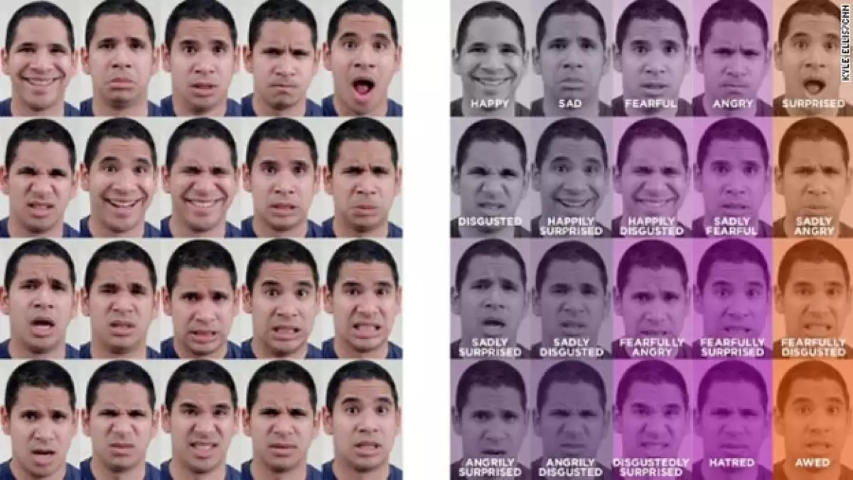 emociones científicos