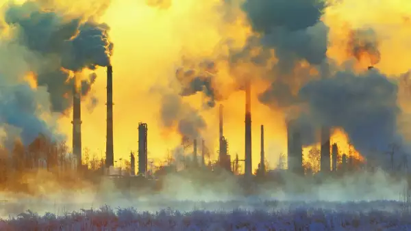 El papel de las empresas frente a la triple crisis ambiental