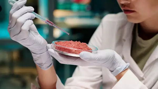 Carne cultivada, un nuevo paradigma