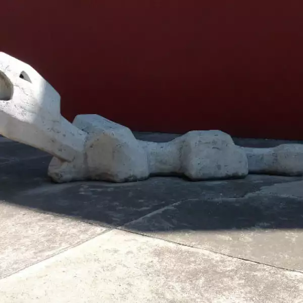 Patrimonio Pedregal 4