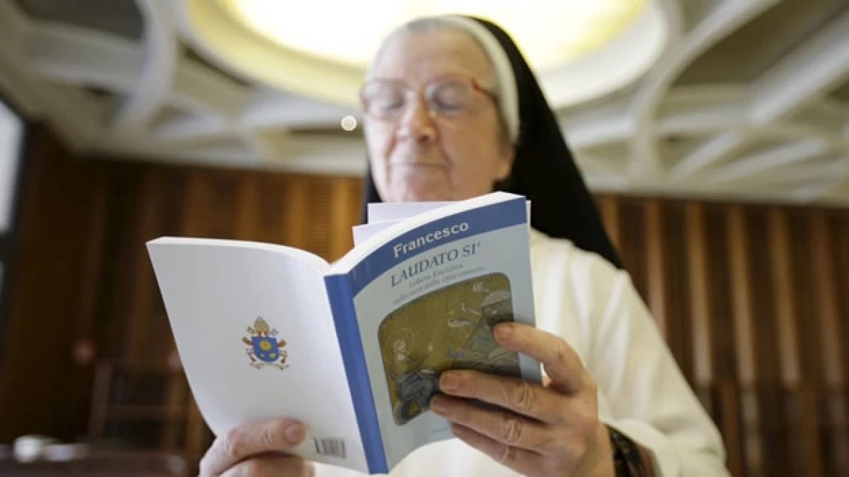 Laudato si