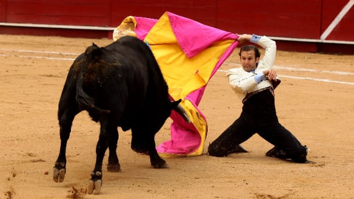 toros