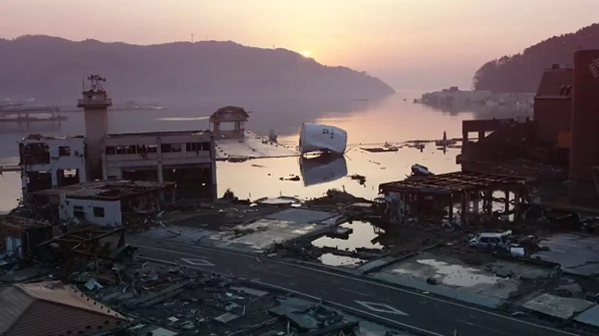 Japón - crisis - naturaleza
