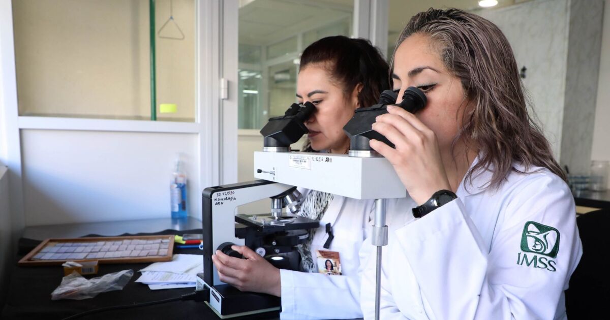 IMSS Refah 2025 çağrısına kaydoldunuz mu? Bu, aşağıdaki prosedürdür