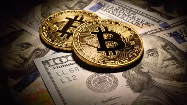 bitcoin and dollars