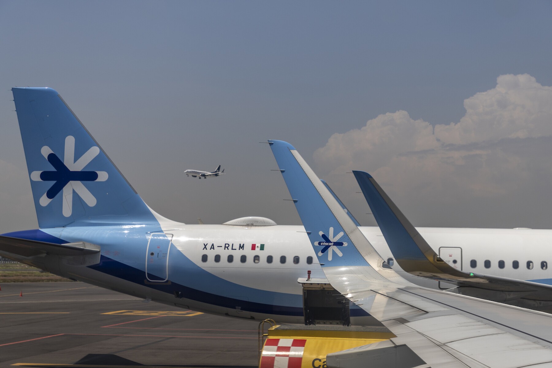 viva aerobus y volaris buscan