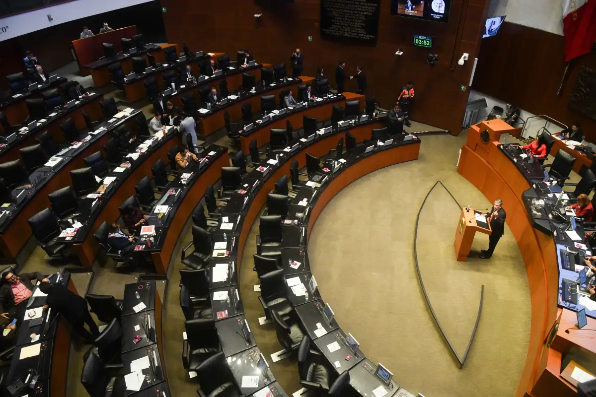 senado