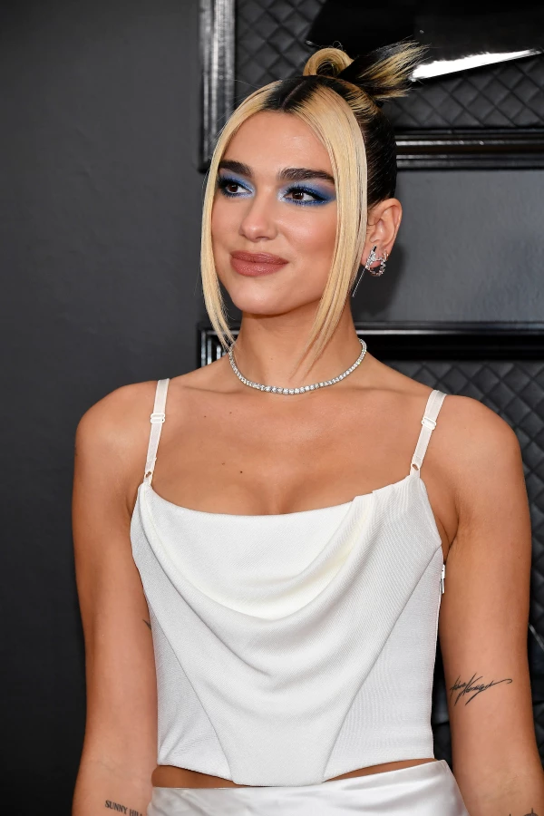 62.a entrega anual de los premios GRAMMY - Llegadas