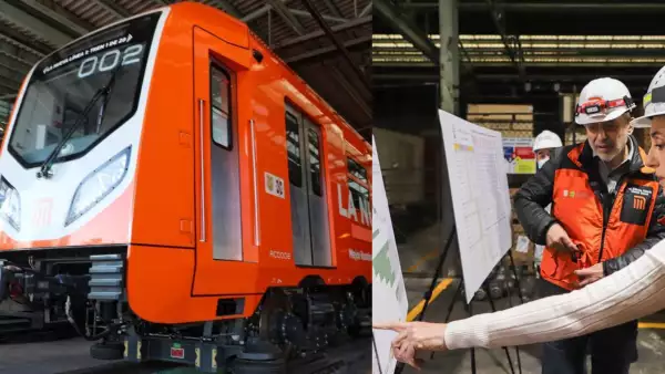 sheinbaum l12 (1).jpg