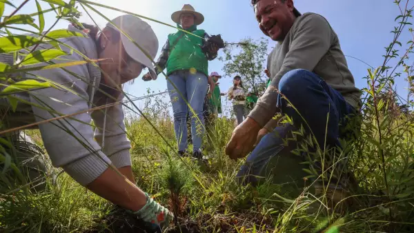restauración ambiental mexico