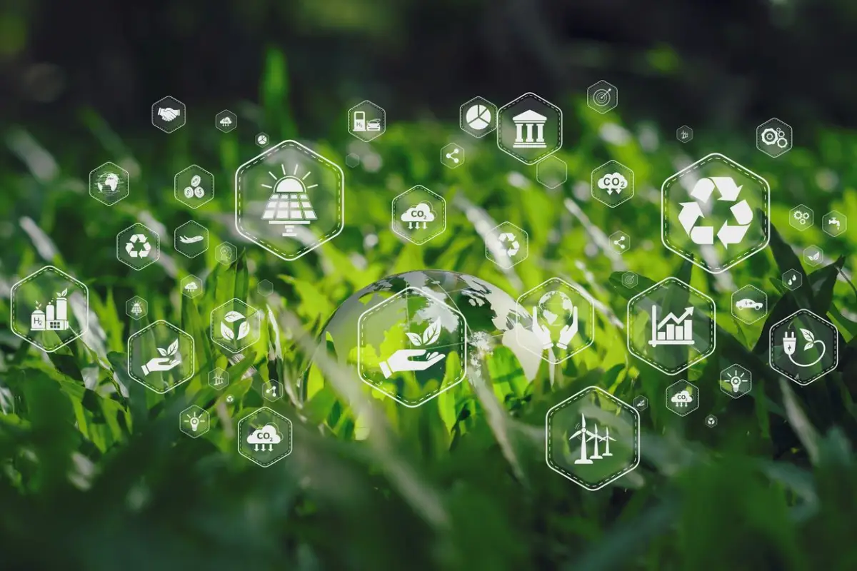 México ante la economía verde. Retos y oportunidades en un escenario de contrastes