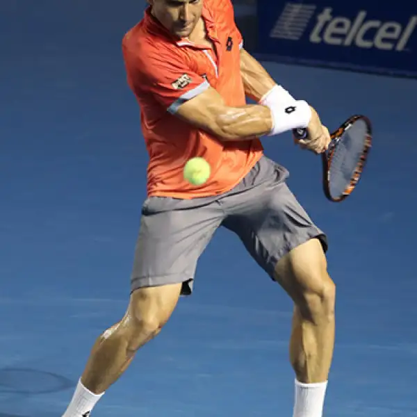 David Ferrer