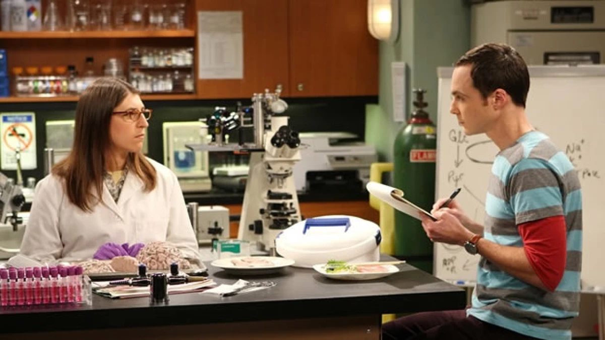 big bang theory mayim bialik amy farrah