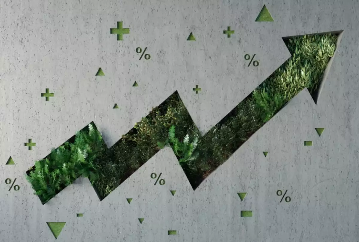 El valor de invertir en sostenibilidad. Beneficios tangibles e intangibles