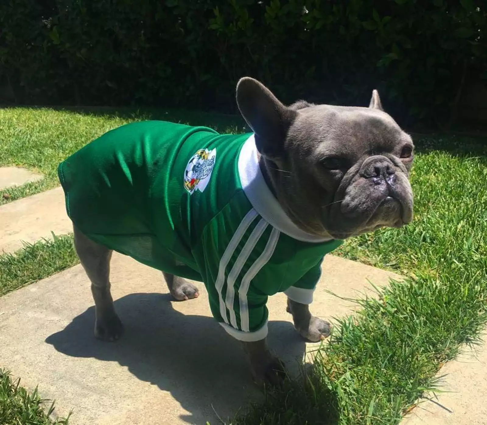 Popeye apoyando a la Selección Nacional, en la reciente Copa del Mundo 