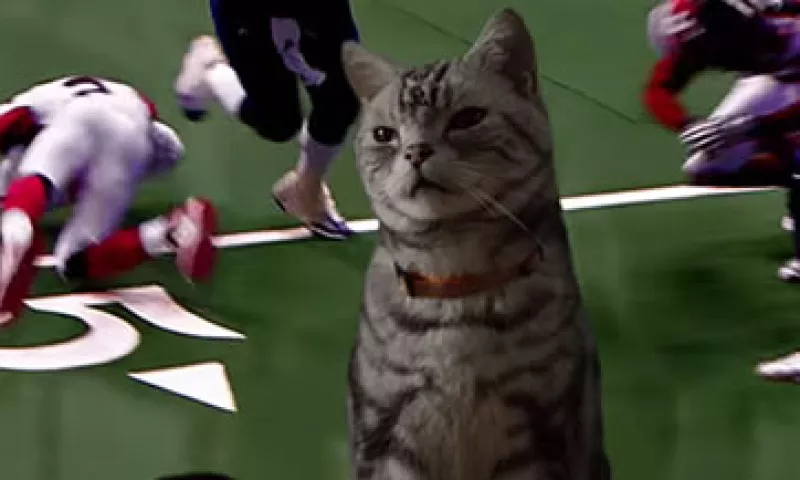 Desde el año pasado, Friskies y BuzzFeed elaboran videos publicitarios para web. (Foto: tomada de YouTube/BuzzFeedVideos)