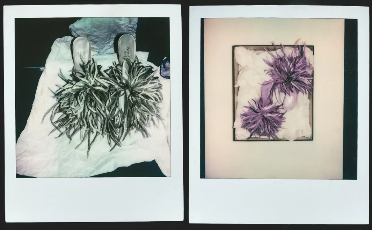 gucci pumps cruise 2026