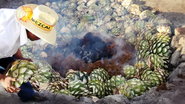 Mezcalera Oro de Oaxaca