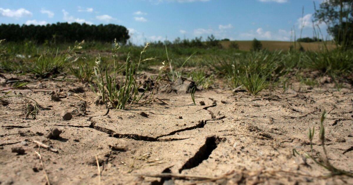 The French government activates a crisis cabinet in the face of the drought The French government activates a crisis cabinet in the face of the drought
