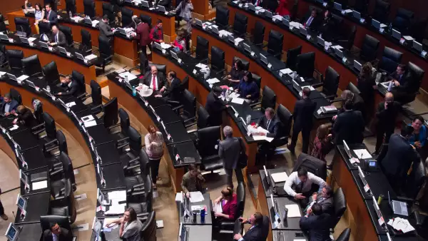 Senado