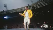 Freddie Mercury 