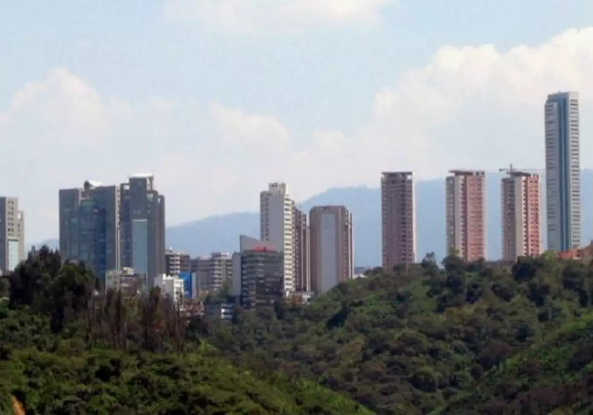 Bosque de las Lomas