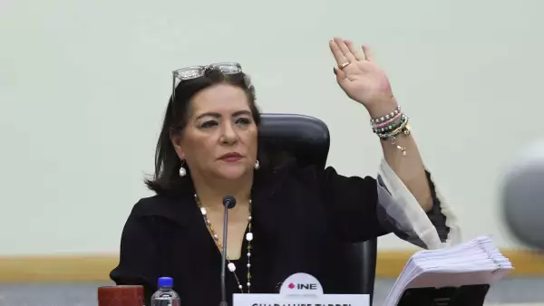 guadalupe taddei ine