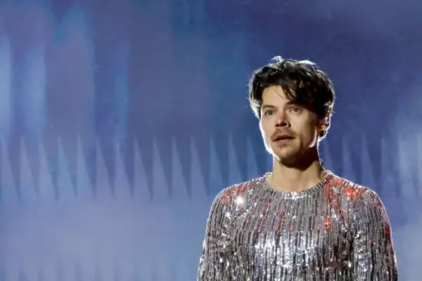 harry styles concierto meltdown.png