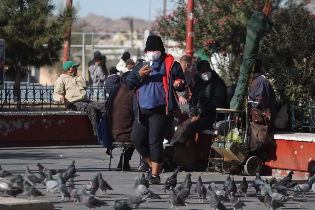 estados covid-19 semáforo