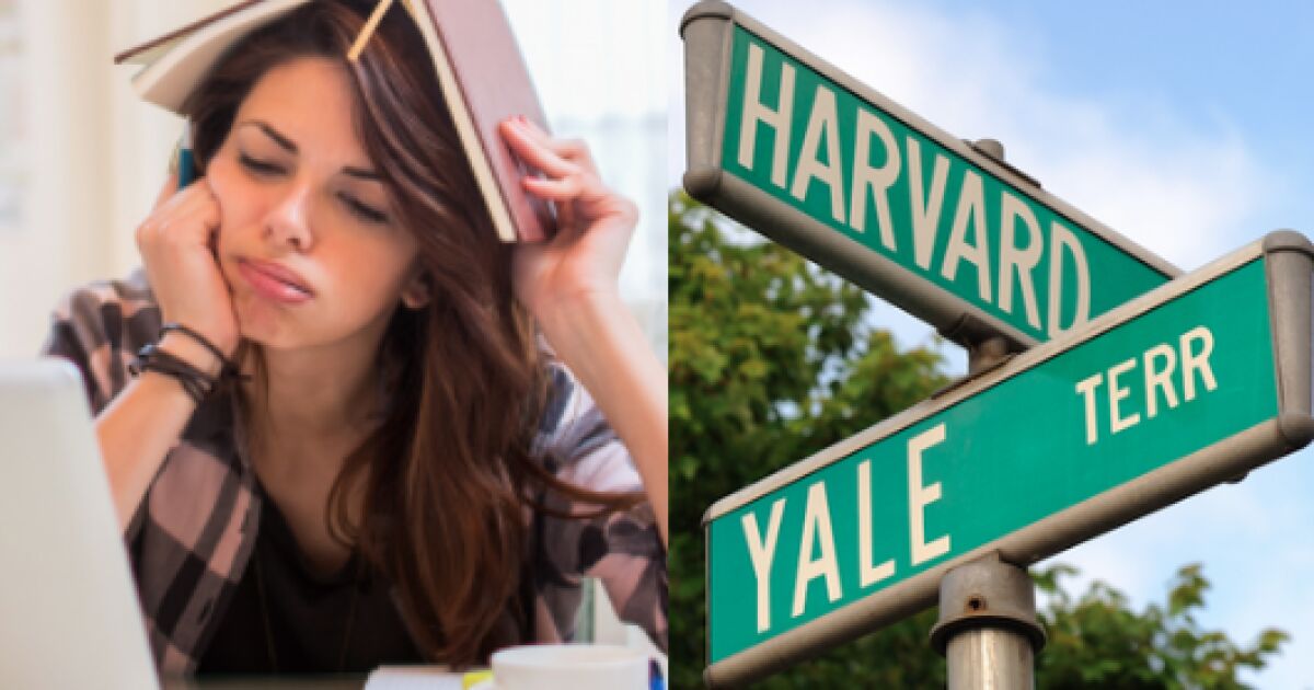 Study abroad, how does it benefit you in the labor market? Study abroad, how does it benefit you in the labor market?