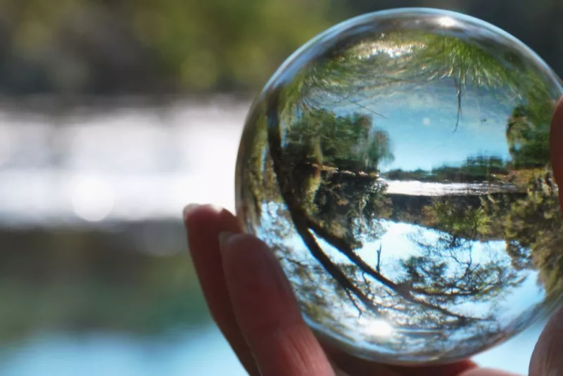 El camino empresarial para proteger la biodiversidad