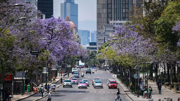 pib mexico primer trimestre